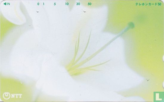 Flower - Afbeelding 1