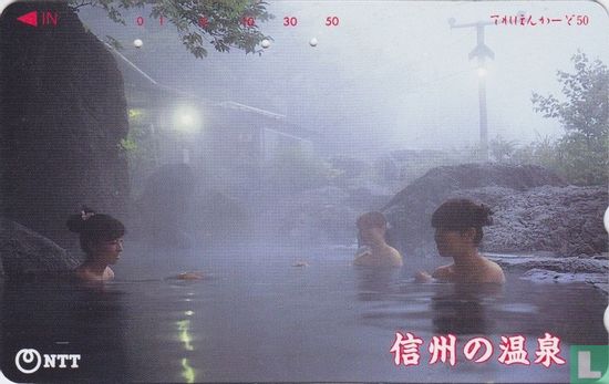 Hot spring of Shinshu - Nagano Prefecture - Image 1