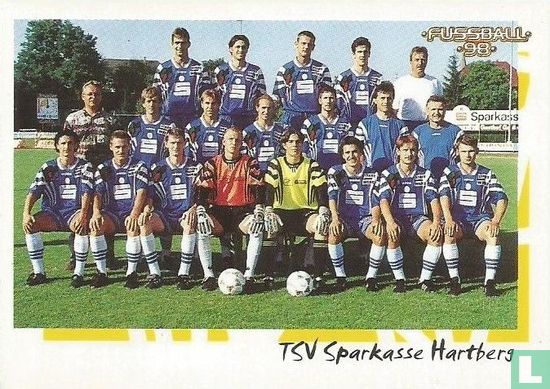 TSV Sparkasse Hartberg - Afbeelding 1