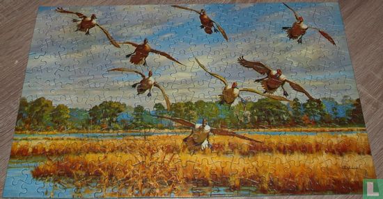 Acht vogels vliegen boven moeras - Afbeelding 3