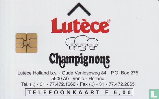 Lutèce Champignons - Afbeelding 1