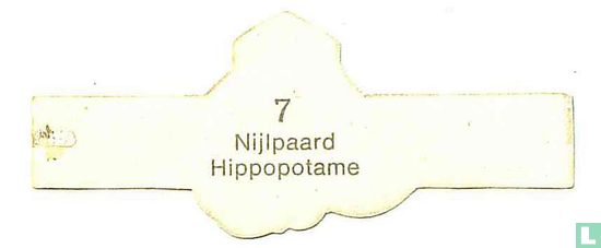 Hippopotamus - Image 2