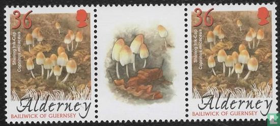 Champignons