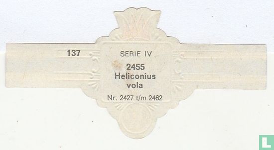 Heliconius vola  - Afbeelding 2