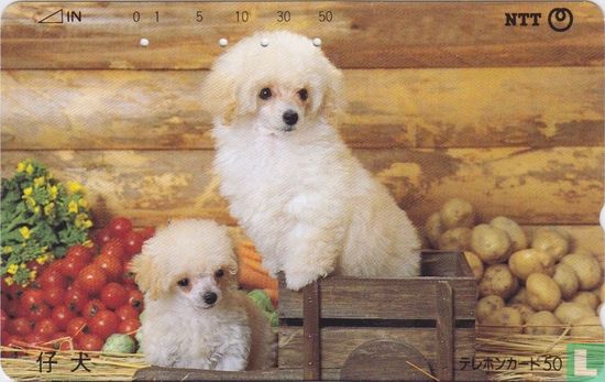 Dogs - Image 1