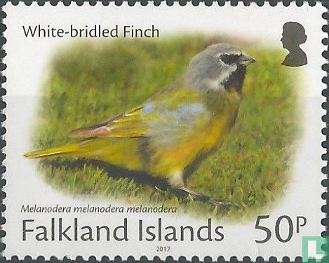 Falkland Islands Vogels