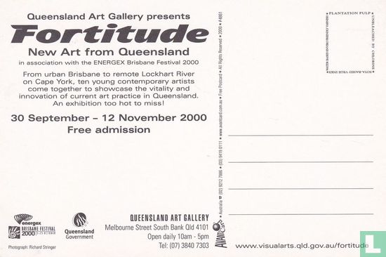04861 - Queensland Art Gallery - Fortitude - Bild 2