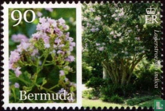 Bermuda in voller Blüte