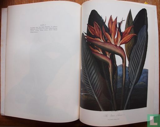 Botanical Prints - Afbeelding 3