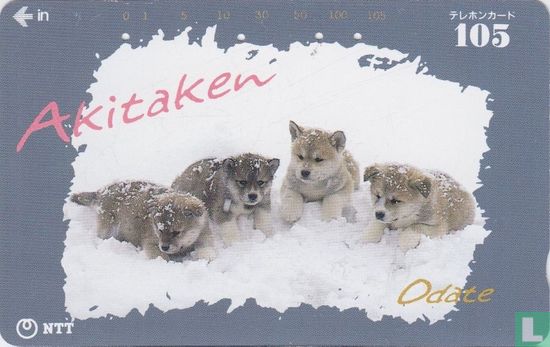 "Akitaken - Odate" (Akita Puppies) - Image 1