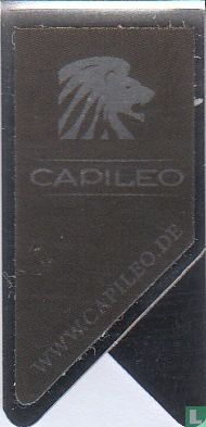 Capileo - Image 1