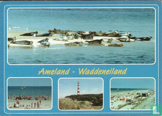 Ameland -Waddeneiland