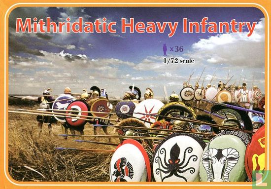 Mithridatic Heavy Infantry - Bild 1