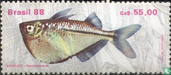 Freshwater fish
