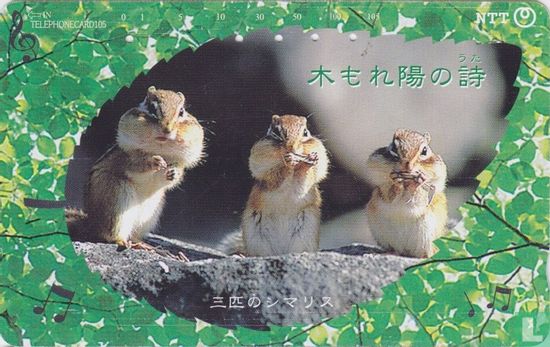 Three Chipmunks "Singing" in Tree - Afbeelding 1
