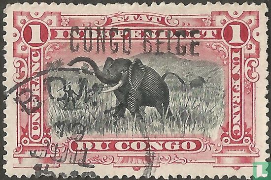 Elefantenjagd 