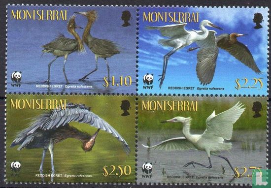 Herons