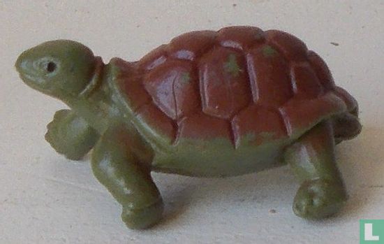 Turtle / painted