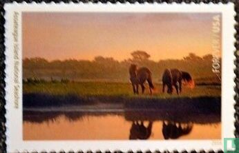 L’île d’Assateague