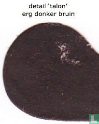 Brown Duke  - Image 3