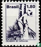 Carnauba-Blätter sammeln