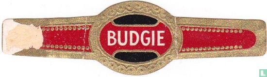 Budgie - Image 1