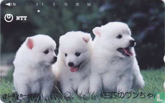 Dogs - Image 1