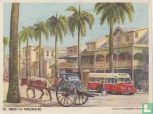 Straat in Paramaribo - Afbeelding 1