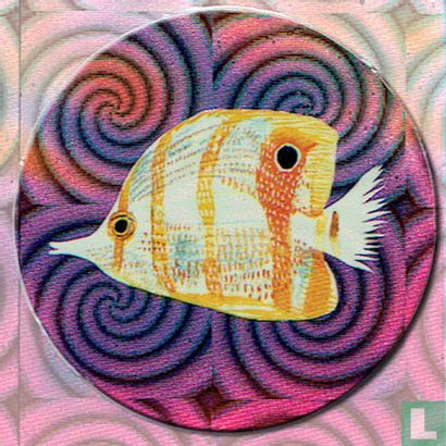 Coral fish - Image 1