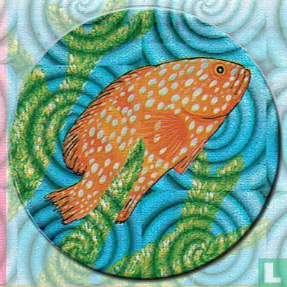 Coral fish - Image 1
