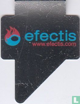 Efectis - Image 1