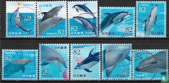 Zeeleven (3e) Dolfijnen
