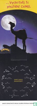 Camel - Afbeelding 3