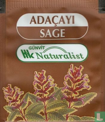 Adaçayi Sage  - Afbeelding 1