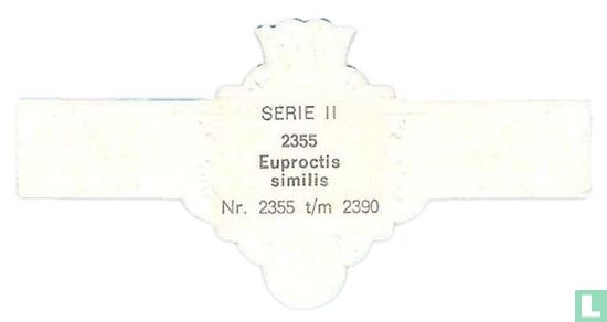 Euproctis similis - Image 2