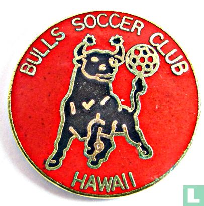 Bulls Soccer Club Hawaii