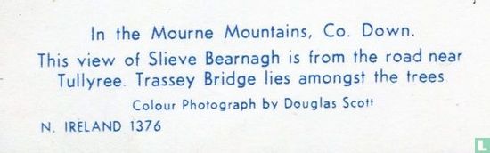 In the Mourne Mountains - Afbeelding 3