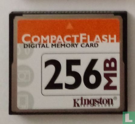 Kingston CompactFlash kaart 256 Mb - Afbeelding 1