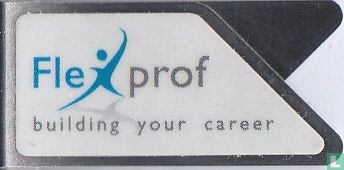 Flex prof building your career - Image 1