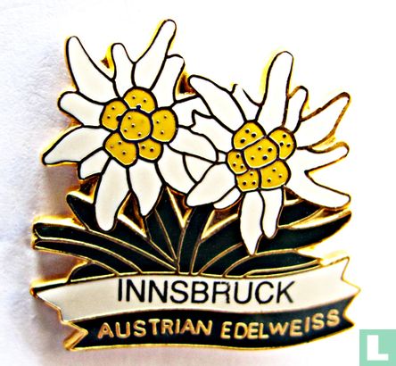 Innsbruck Austrian Edelweiss