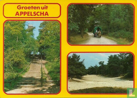 Groeten uit Appelscha 