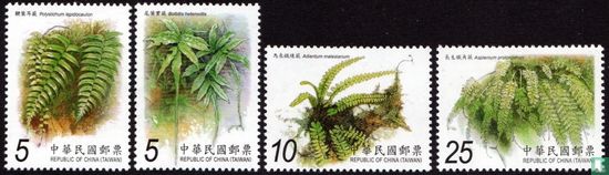 Ferns