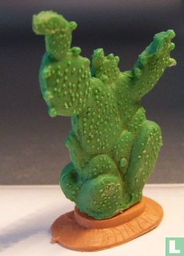 Kaktus - Bild 1