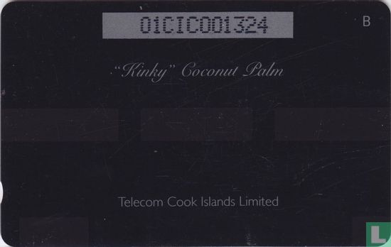 “Kinky” Coconut Palm - Bild 2