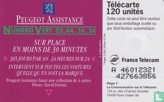 Peugeot Assistance - Image 2