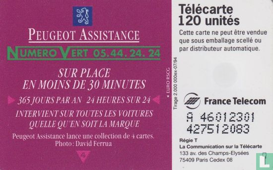 Peugeot Assistance - Image 2