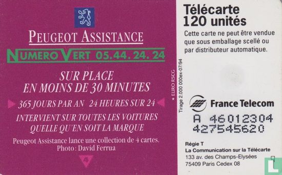 Peugeot Assistance - Image 2