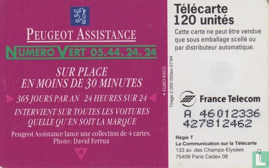 Peugeot Assistance - Image 2