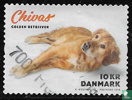 My Dog on a stamp