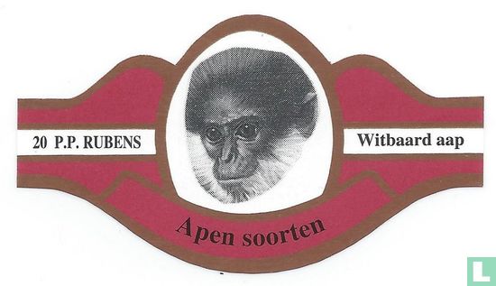 Witbaard aap - Image 1